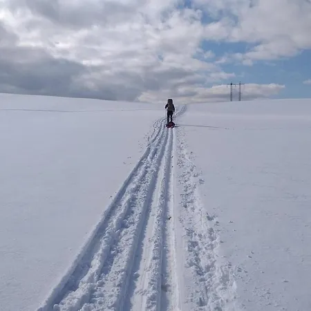 Casa de hóspedes Liezky